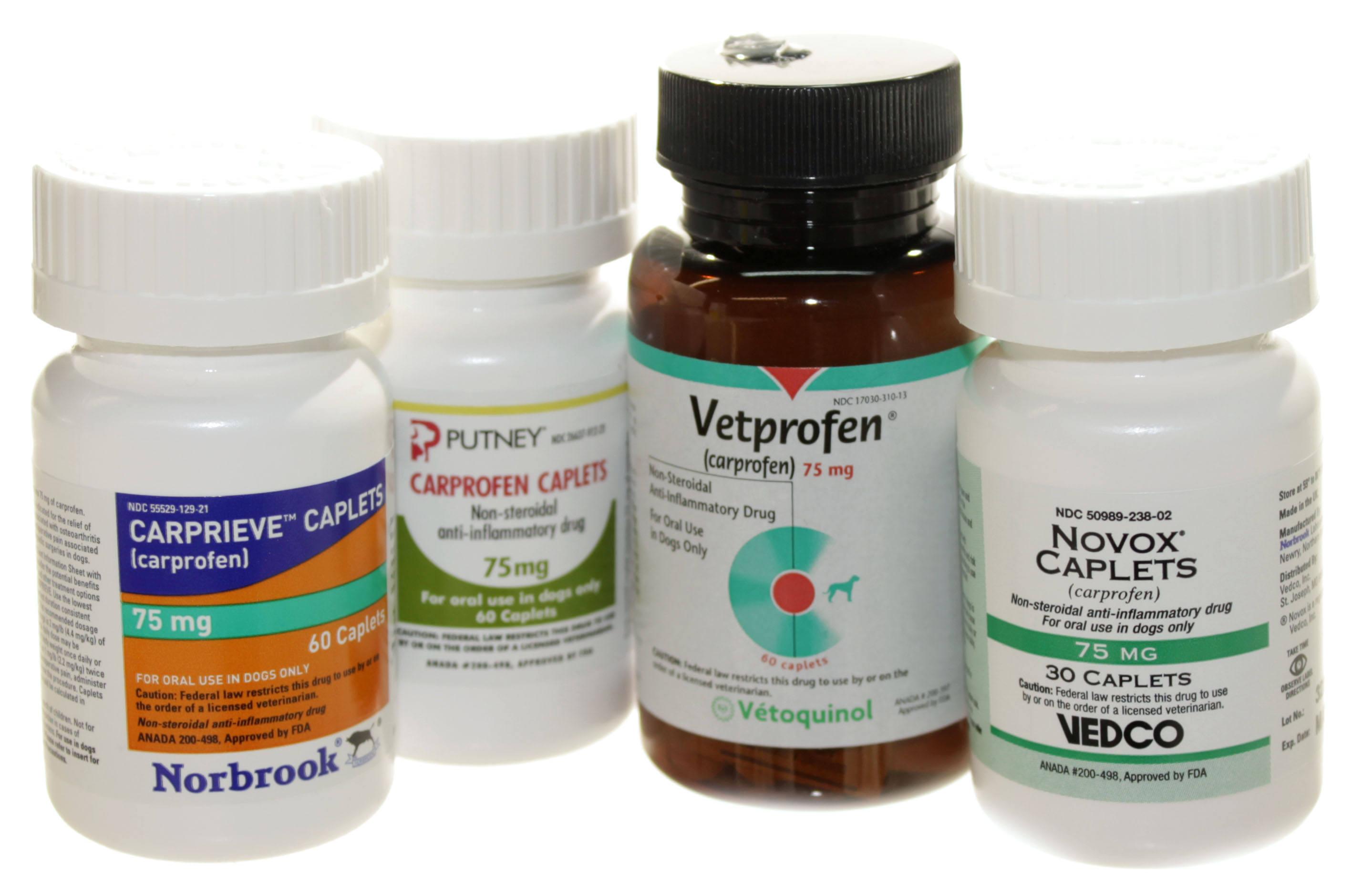 Generic Carprofen for Arthritis in Dogs - VetRxDirect BlogVetRxDirect Blog