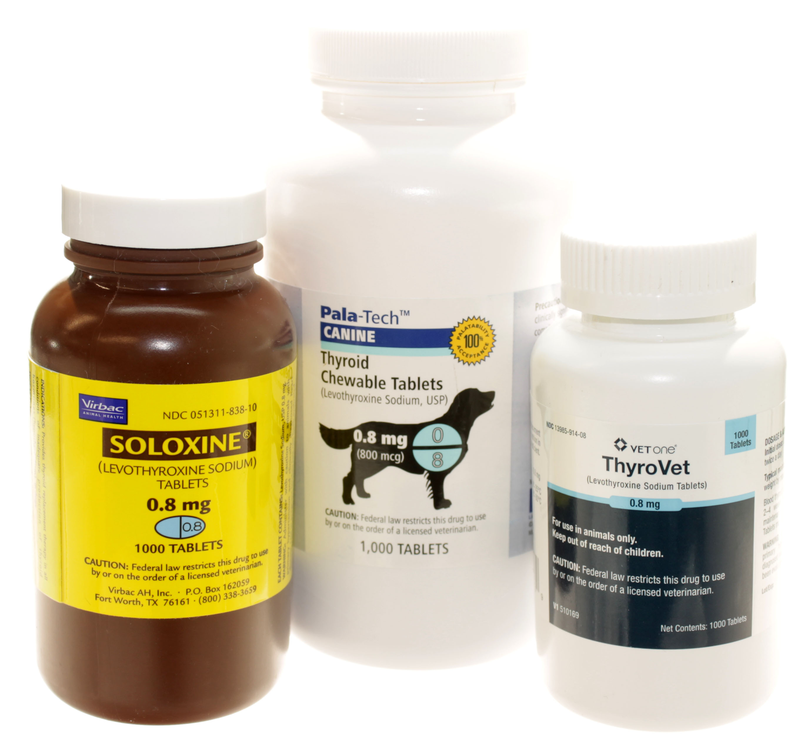 levothyroxine for dogs Archives 