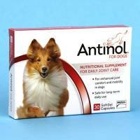 Antinol for Dogs and Cats - Daily Joint 