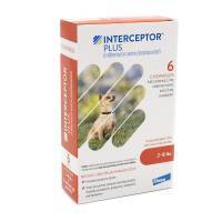 Interceptor plus heartworm store medicine