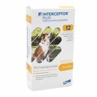 Interceptor 2024 plus heartworm