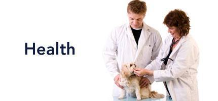 Dog Health