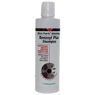 Benzoyl Plus Shampoo for Dogs and Cats - Benzoyl Peroxide | VetRxDirect