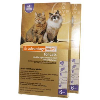 Advantage Multi For Cats - Heartworm/Flea Med | VetRxDirect