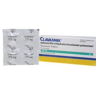 Clavamox - Antibiotic Tablets and Drops for Dogs and Cats | VetRxDirect