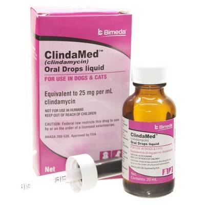 Clindamycin Drops - Antibiotics for Pets | VetRxDirect