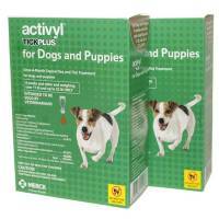 activyl tick plus heartworm