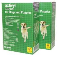 activyl tick plus heartworm