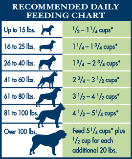 GI Gastrointestinal Support for Dogs - Natural Veterinary Diet ...