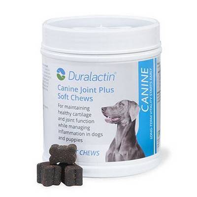 Duralactin canine joint 2024 plus soft chews