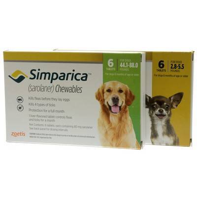 simparica for dogs