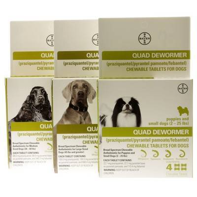 Quad Dewormer for Dogs Broad Spectrum Chewable VetRxDirect