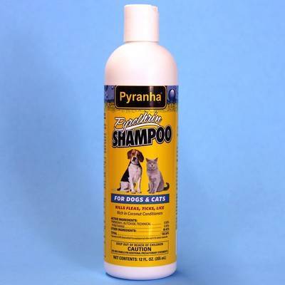 dog shampoo for lice