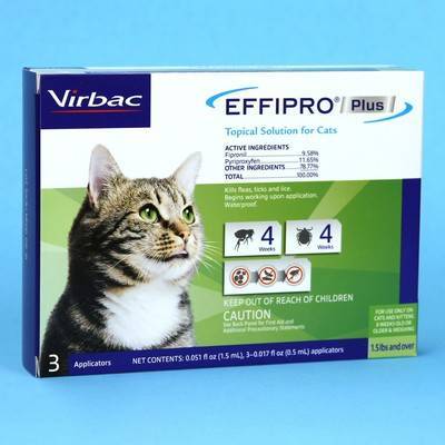 Effipro Plus For Cats Topical Flea Preventative For Cats Vetrxdirect