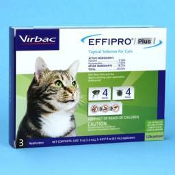 Effipro Plus for Cats; ?>