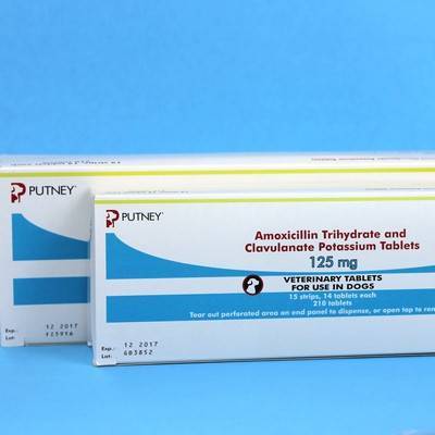 Amoxicillina 650mg online