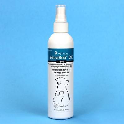 antiseptic mousse for dogs