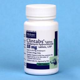 Clintabs (clindamycin); ?>
