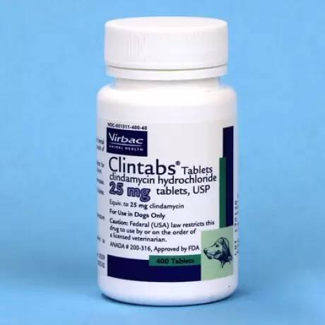 Clintabs 25mg clindamycin tablets for Dogs