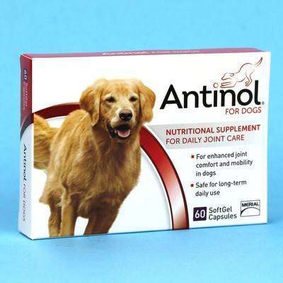 antinol for cats