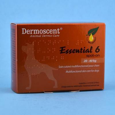 dermoscent essential 6 for dogs