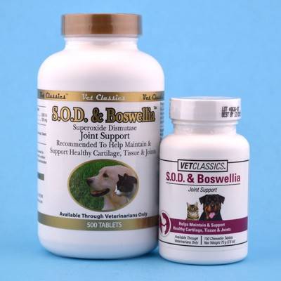 how much boswellia to give dog