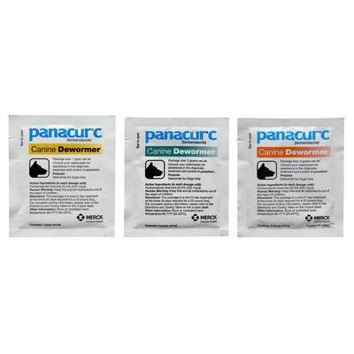 panacur worming for puppies