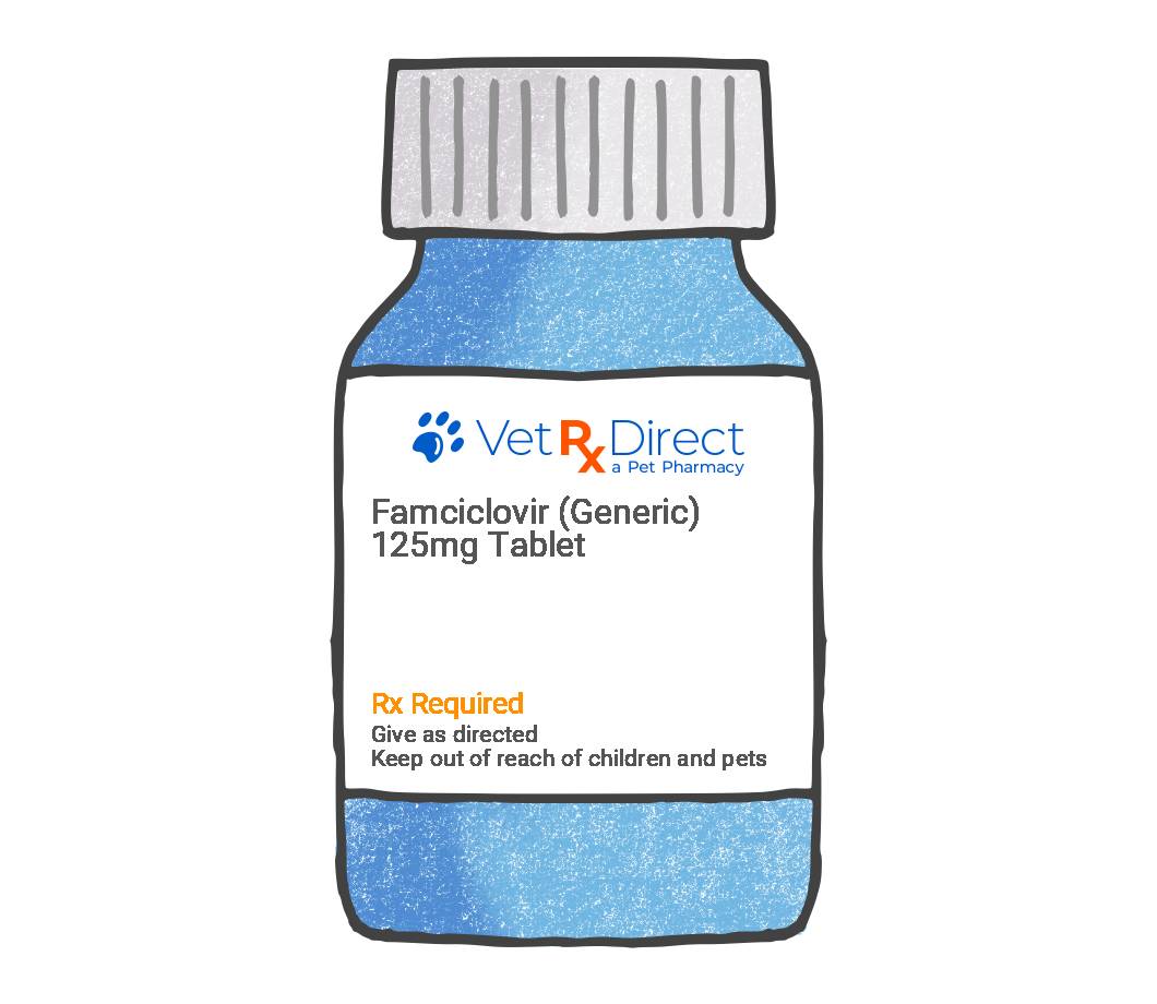 Famciclovir Antiviral For Herpes In Cats VetRxDirect