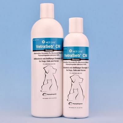 chlorhexidine dog shampoo