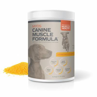 Dog vitamins hotsell for muscle growth