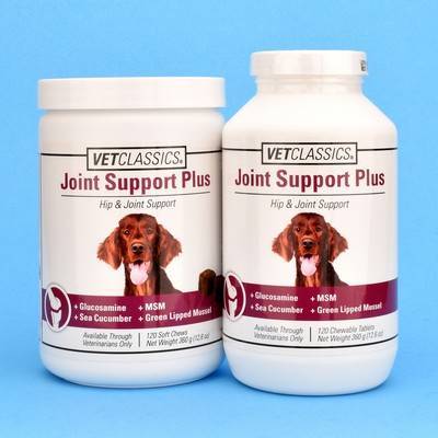 hip and joint support for dogs