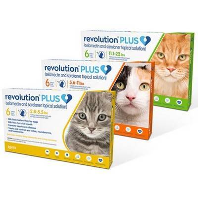revolution selamectin for cats