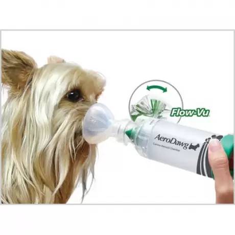aerodawg spacer for bronchitis in dogs