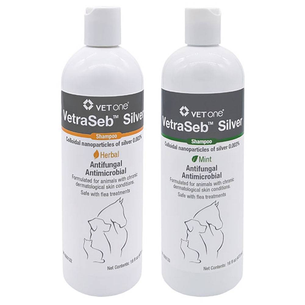 colloidal silver for dogs
