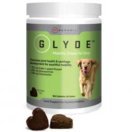Glyde 60 Mobility Soft Chews for Dogs
