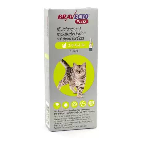 Bravecto Plus Topical Solution for Cats - 2.6-6.2lb, 1 Tube