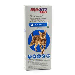 Bravecto Plus Topical Solution for Cats; ?>
