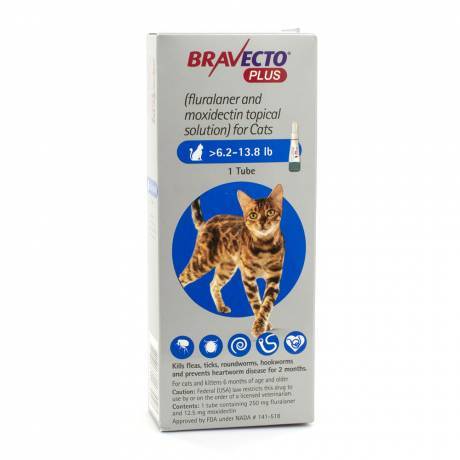Bravecto Plus Topical Solution for Cats - 6.2-13.8 lb, 1 Tube