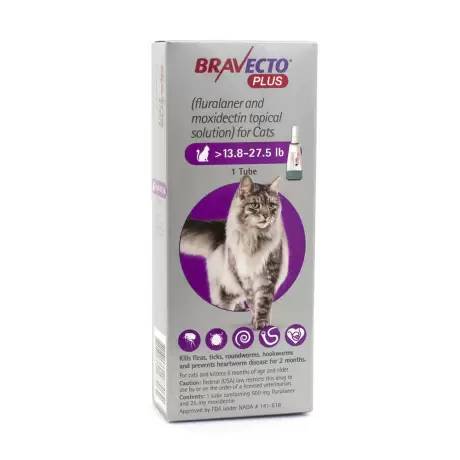 Bravecto Plus Topical Solution for Cats - Fleas, Ticks, and Heartworm ...