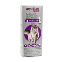 Bravecto Plus Topical Solution for Cats 13.8-27.5 lb, 1 Tube