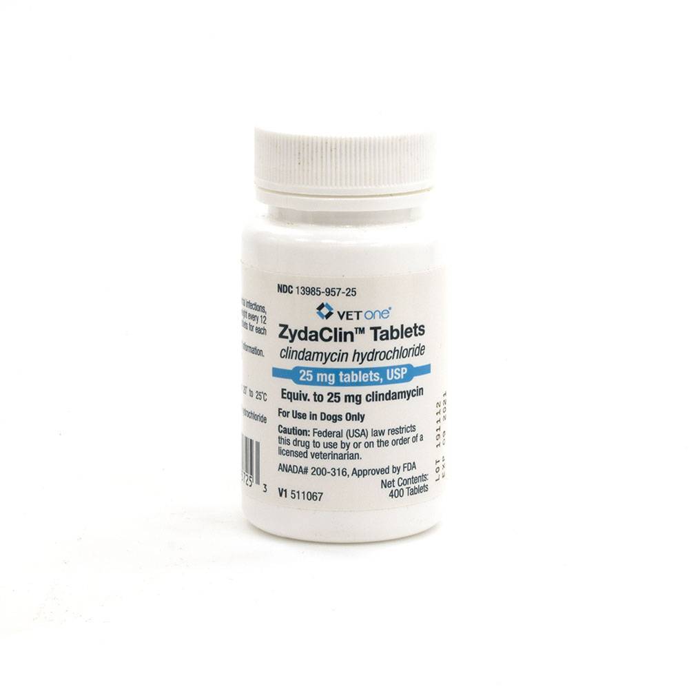 ZydaClin Tablets for Dogs - Clindamycin Tablets | VetRxDirect