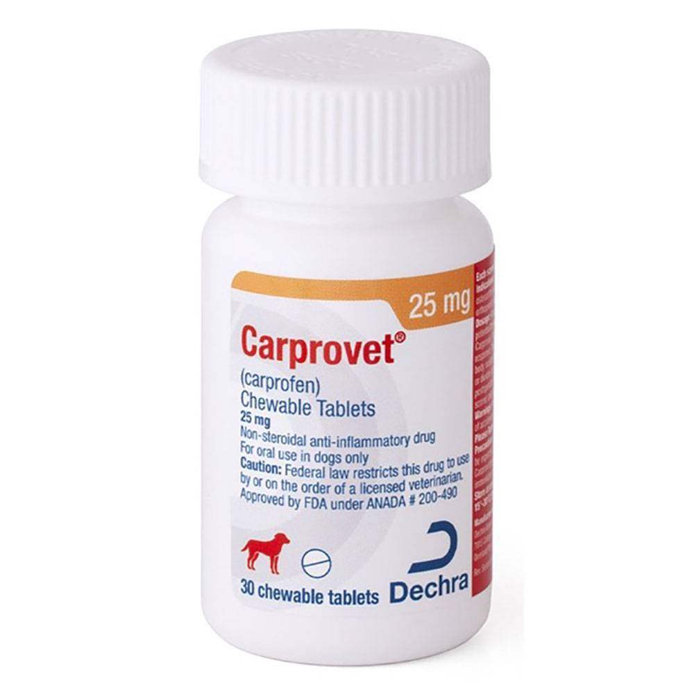 Carprovet Chewable Tablets for Dogs - Generic Carprofen | VetRxDirect