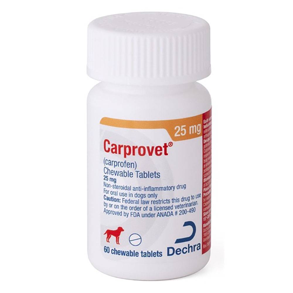 Carprovet Chewable Tablets for Dogs - Generic Carprofen | VetRxDirect Pharmacy