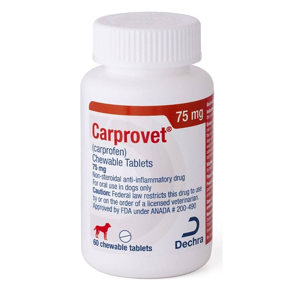 Carprovet Chewable Tablets for Dogs - Generic Carprofen | VetRxDirect ...