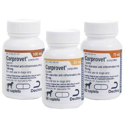 carprofen 25 mg side effects