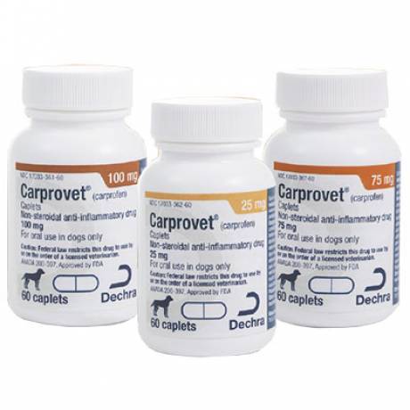 Carprovet Caplets for Dogs - Carprofen Caplets | VetRxDirect Pharmacy | 75mg, 180ct