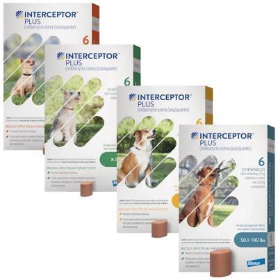 interceptor heartworm medication