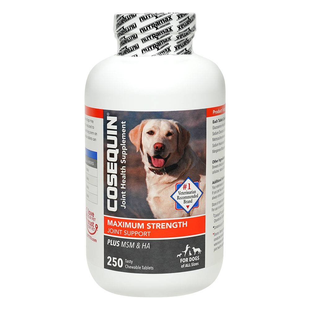 at what age should i give my dog joint supplements