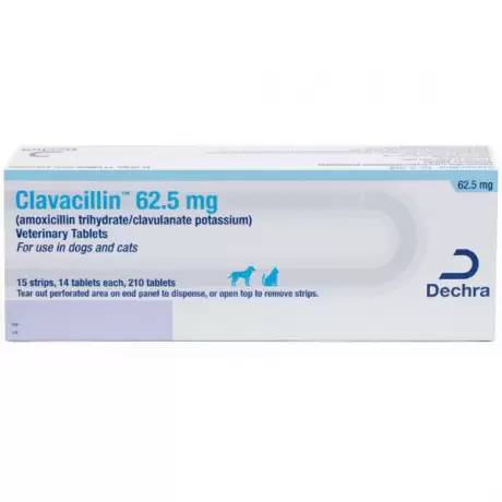 Clavacillin for Dogs and Cats (amoxicillin clavulanate) - 62.5mg Tablet