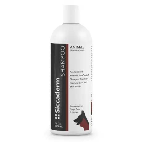 SiccaDerm Shampoo for Dogs and Cats by Animal Pharmaceuticals